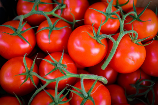 1177879 (a): :2500x1667